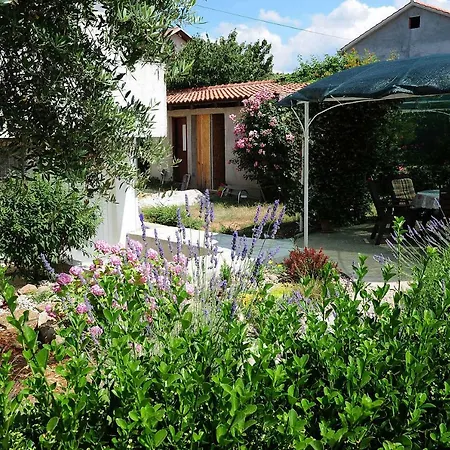 Cavka Apartment